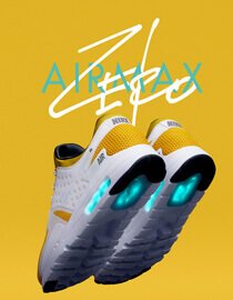 shoe1