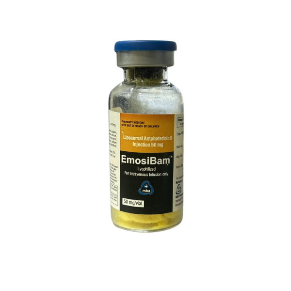 liposomal amphotericin b